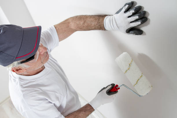 Best Comprehensive Air Testing for Mold Contaminants  in Falls Church, VA