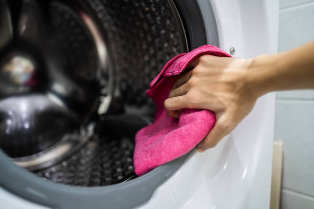 Best Mold Damage Restoration  in Falls Church, VA
