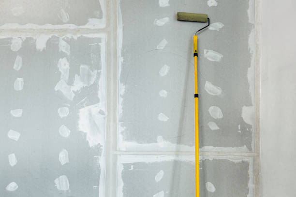 Best Attic Mold Removal  in Falls Church, VA