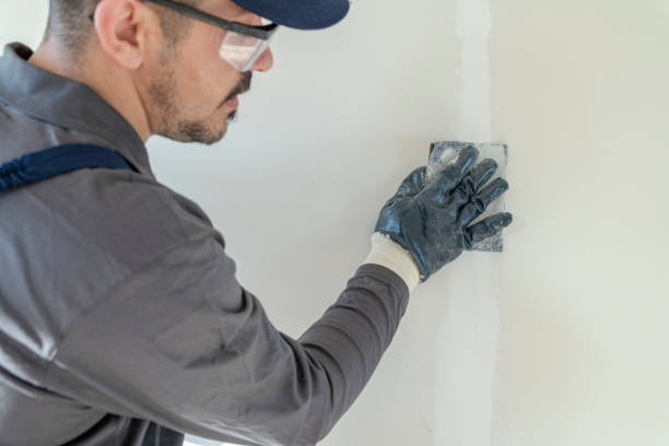 Best Residential Mold Inspection & Testing  in Falls Church, VA
