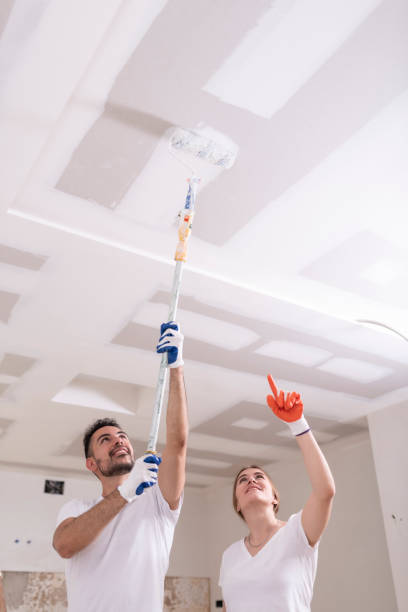 Best Water Damage & Mold Remediation  in Falls Church, VA