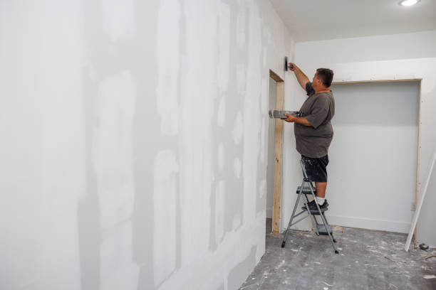 Best Real Estate Mold Inspection  in Falls Church, VA