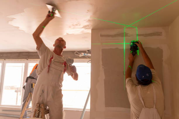 Best Industrial Mold Remediation  in Falls Church, VA