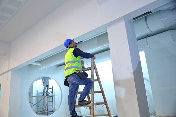 Best Post-Construction Mold Inspection  in Falls Church, VA