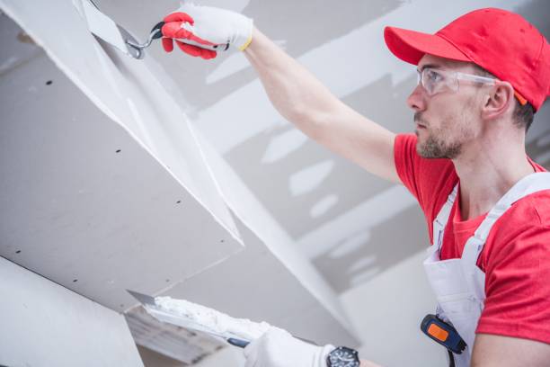 Best HVAC Mold Inspection and Cleaning  in Falls Church, VA